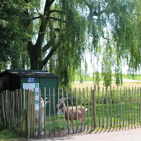 Holiday home In Zevenhuizen With Sauna *
